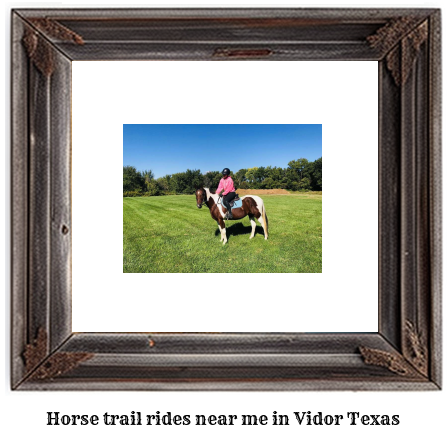 horse trail rides near me in Vidor, Texas